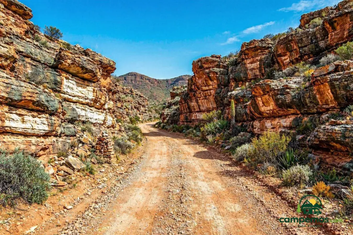 Ruta 62 y el Klein Karoo en 4x4 — 6 días de viñedos, avestruces y el paso del Swartberg