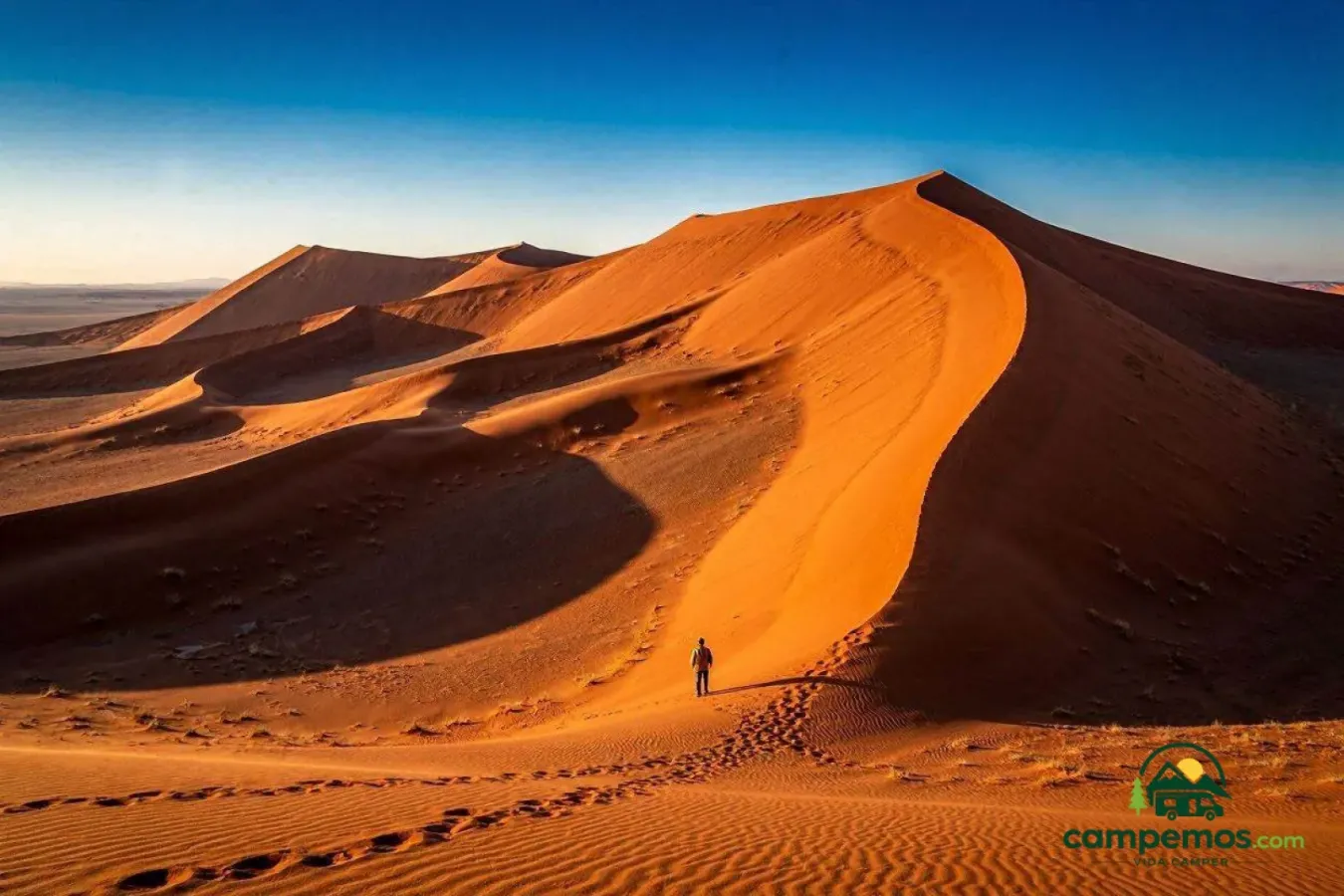 Namibia clásica en autocaravana — 12 días de Windhoek a Etosha por dunas, costa y desierto