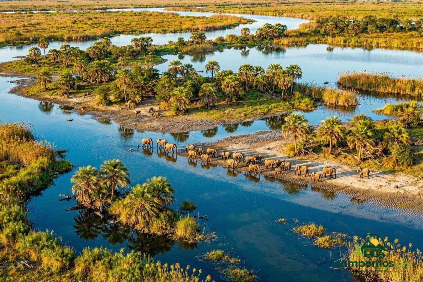 Botsuana en autocaravana — 7 días de Chobe a Moremi y el Delta del Okavango en 4x4