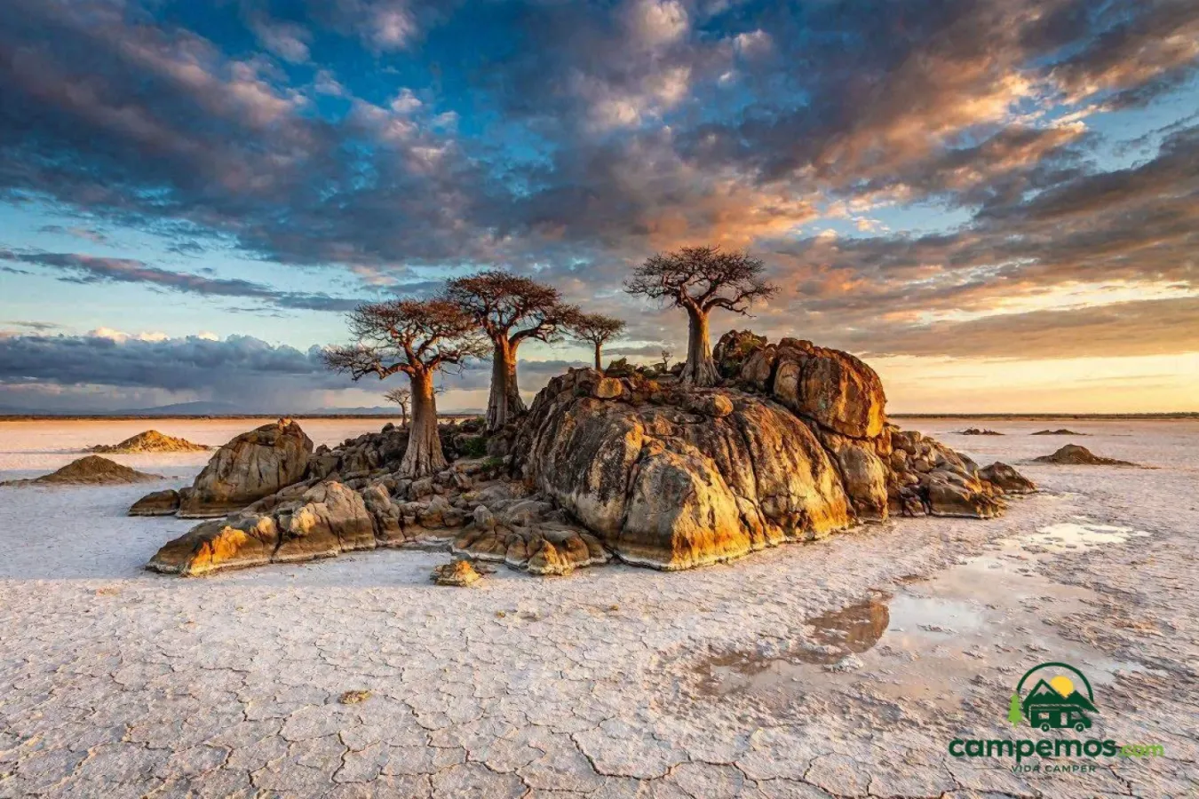 Makgadikgadi y el Kalahari Central en autocaravana — 6 días por las salinas y el desierto de Botsuana