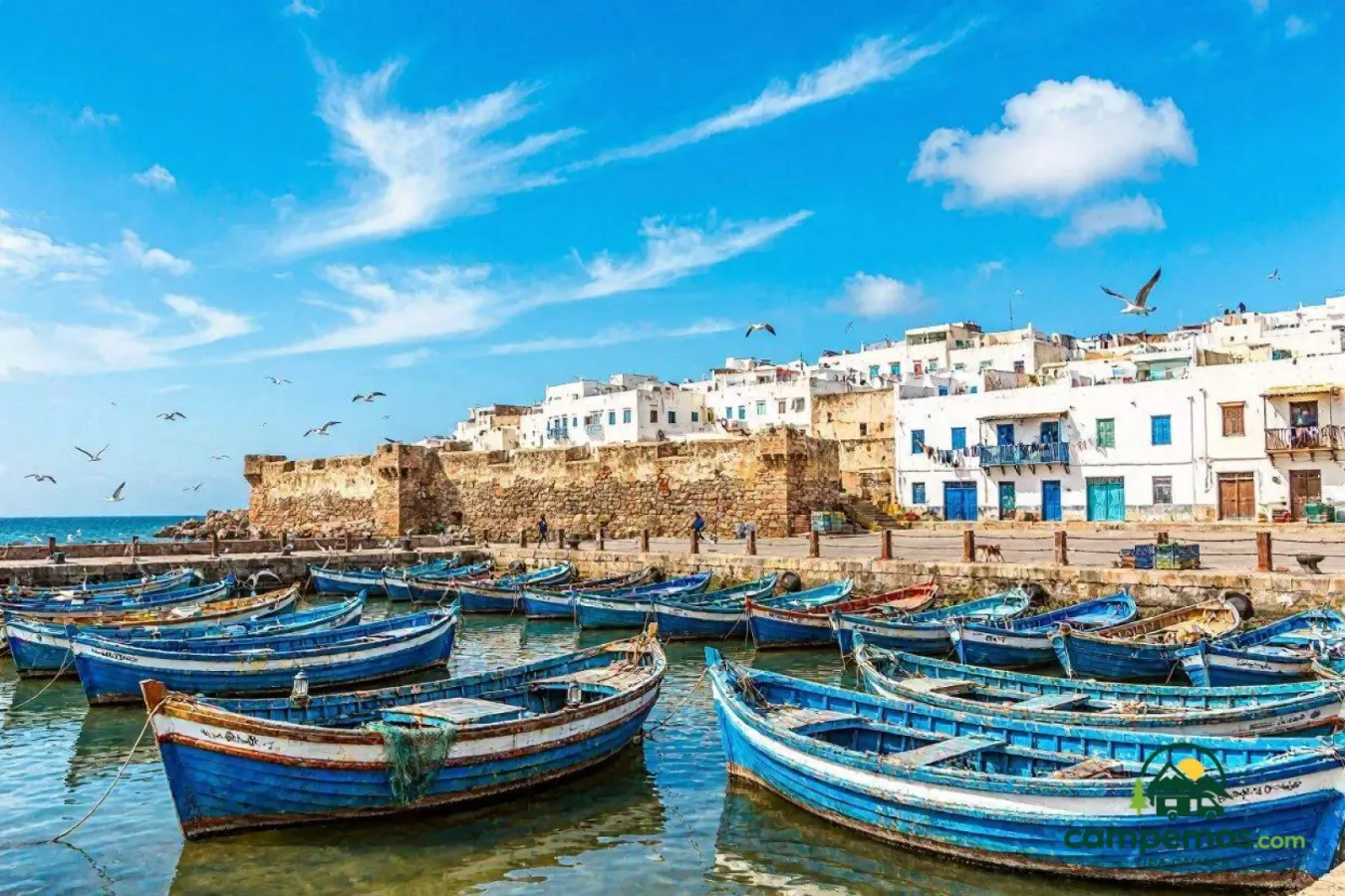 Essaouira y la costa del viento en autocaravana: Sidi Kaouki y los pueblos del Atlántico (6 días)