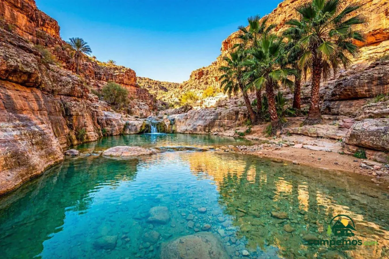 Agadir, Taghazout y Paradise Valley en autocaravana (5 días)