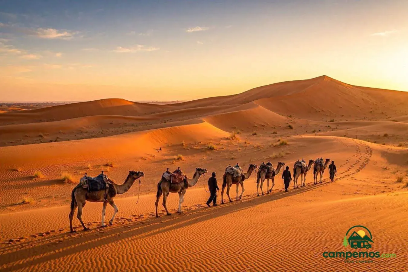 Gran tour del Sáhara marroquí en autocaravana — 13 días de Ouarzazate a las dunas de Merzouga