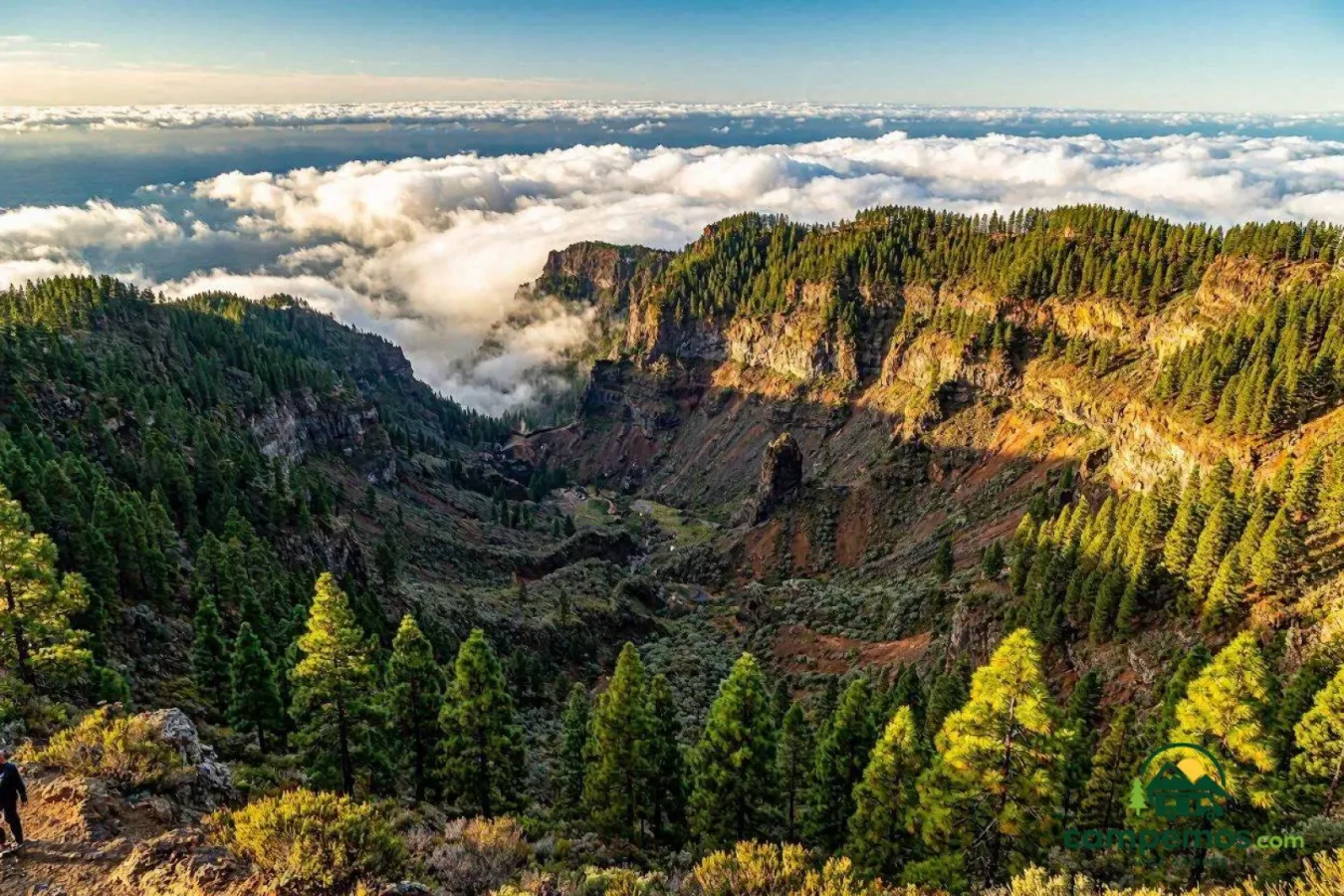 La Palma en autocaravana: la Caldera de Taburiente, los bosques de laurisilva y el mejor cielo estrellado de Europa en 5 días