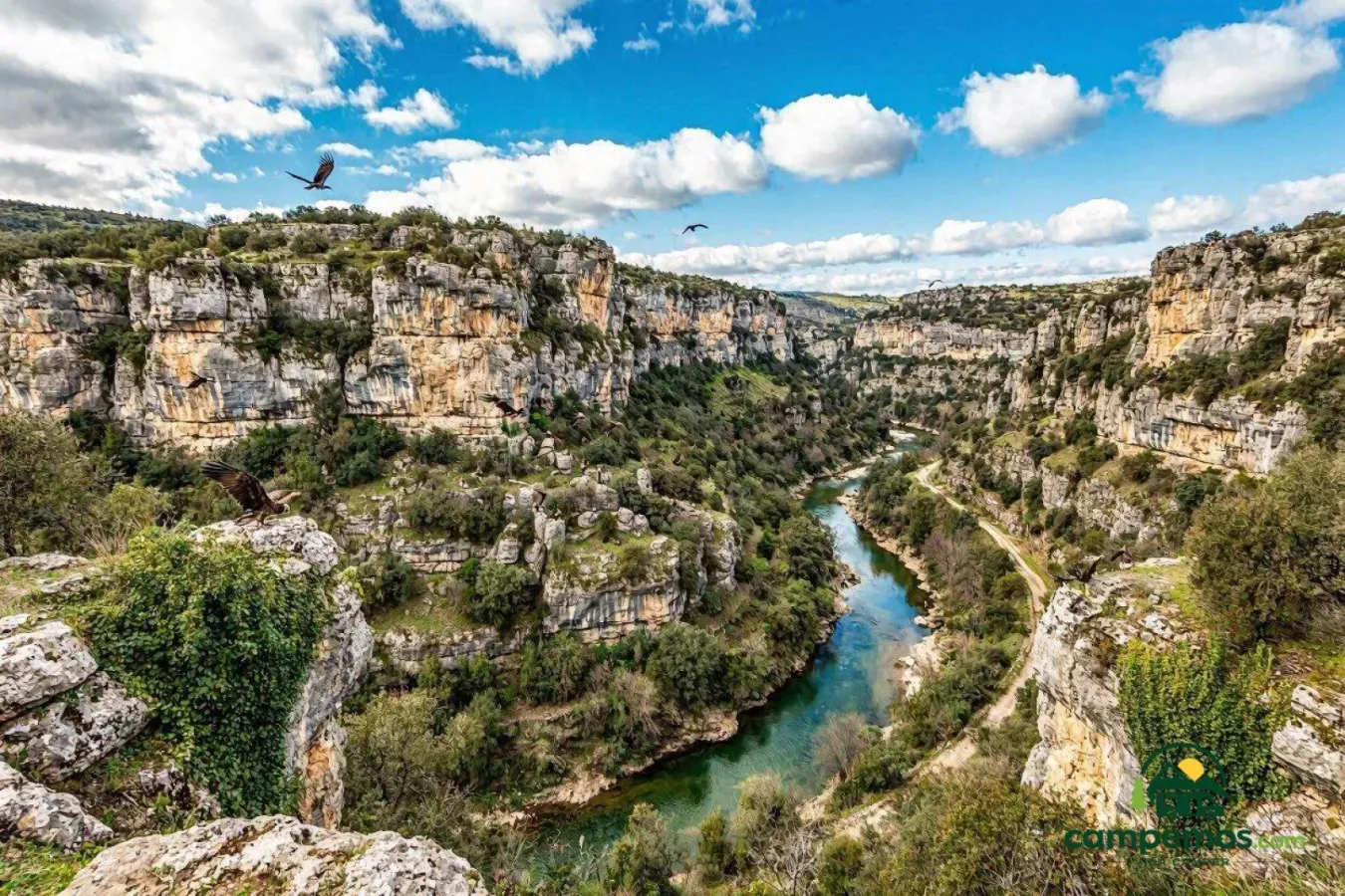 Valles de Roncal y Salazar en autocaravana: el queso D.O., la Foz de Arbaiun y el Pirineo más auténtico en 4 días