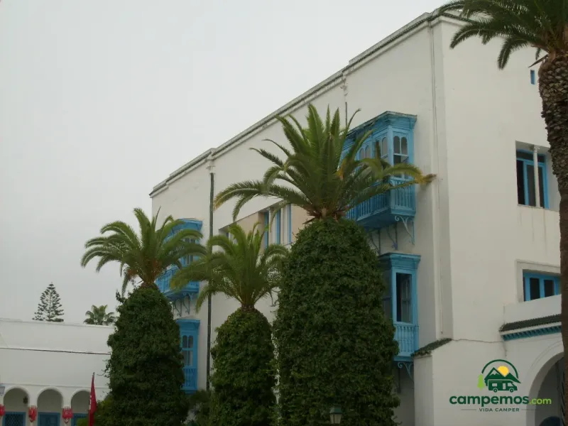 Túnez capital, Cartago y Sidi Bou Saïd