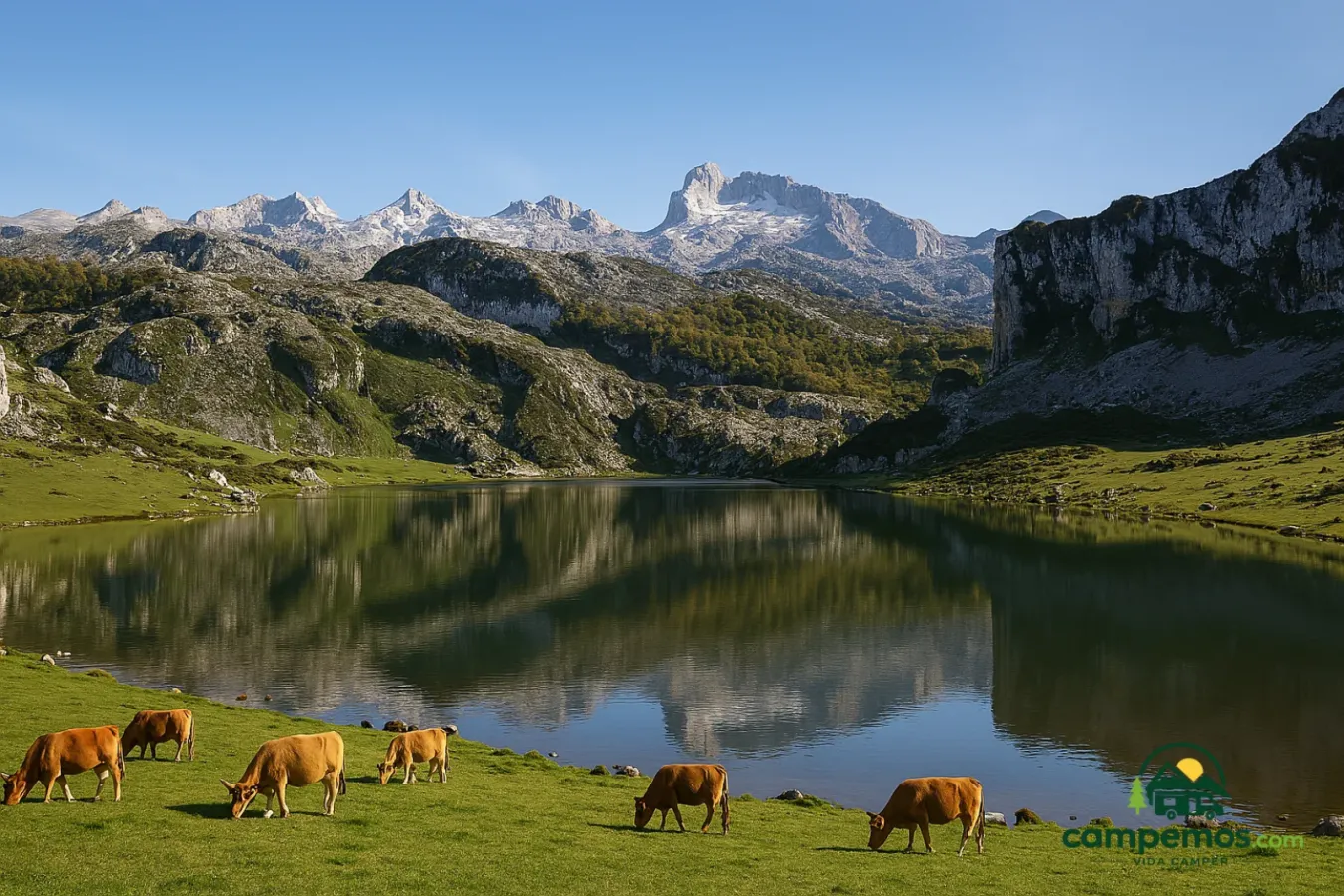 Picos de Europa en autocaravana: 5 días entre Asturias, Cantabria y León
